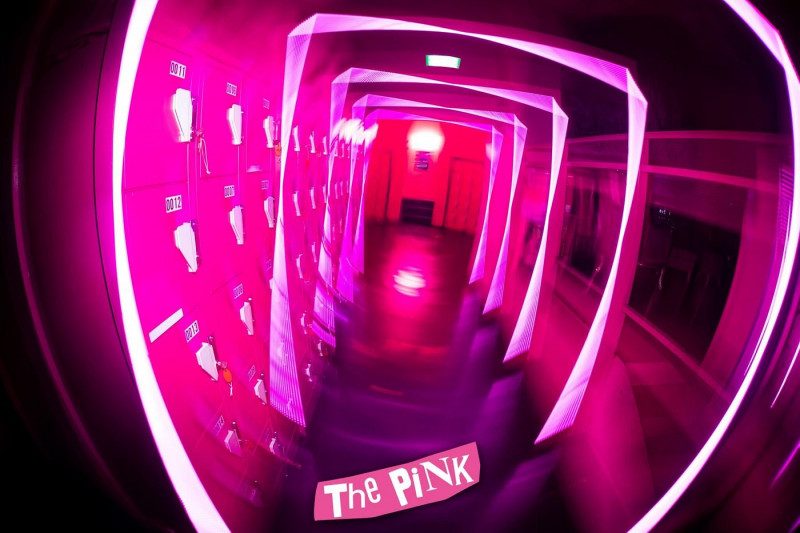 THE PINK-image2
