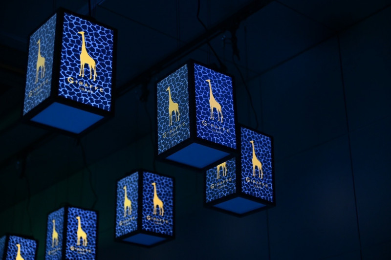 GIRAFFE JAPAN-image1