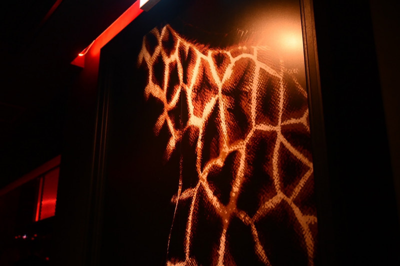 GIRAFFE JAPAN-image2