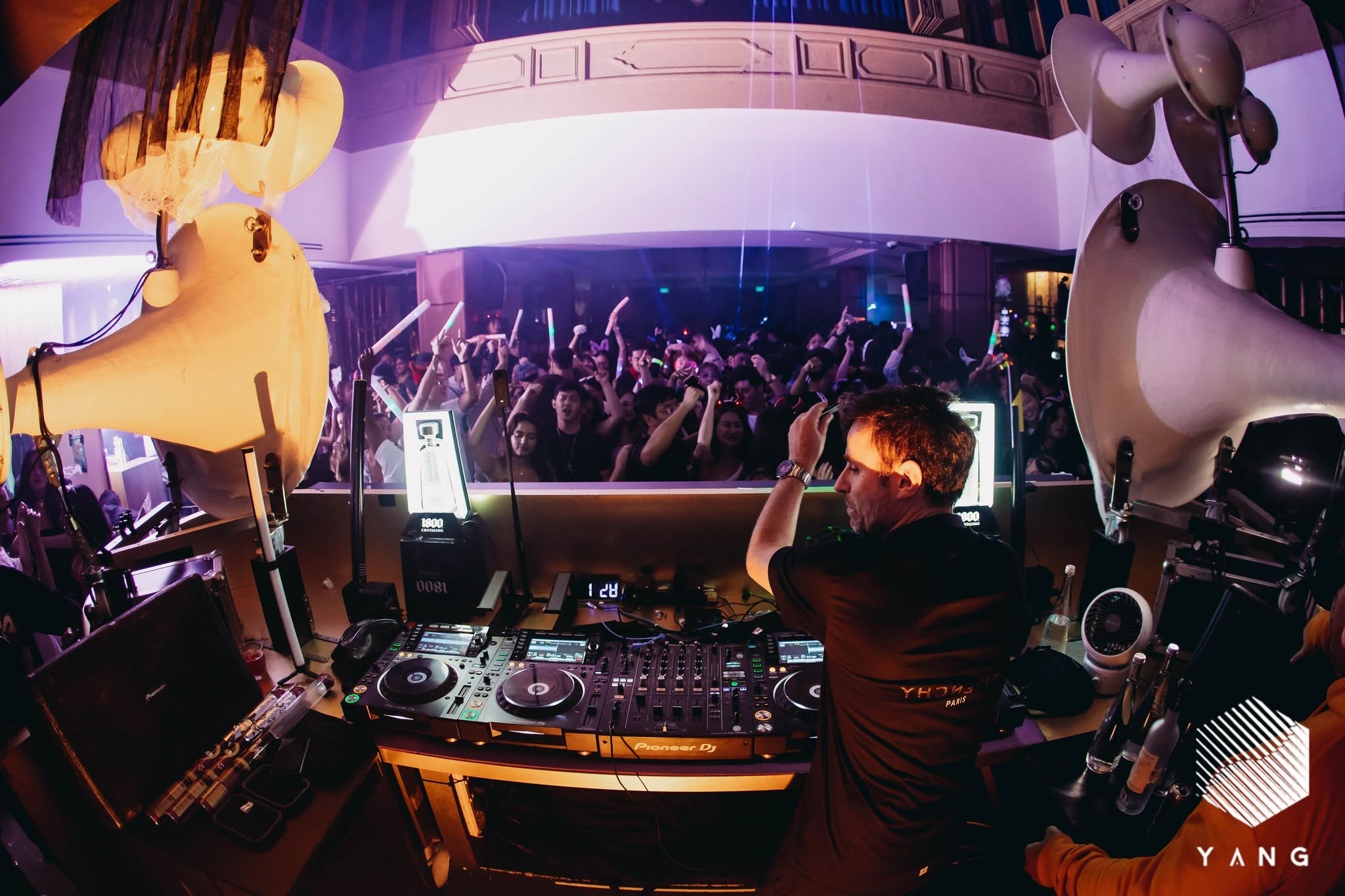 Yang Club-image4