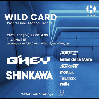 WILD CARD