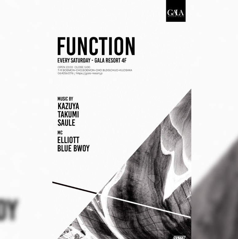 -FUNCTION-