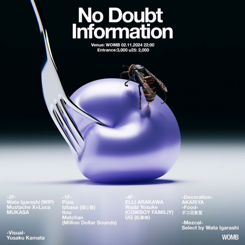 NO DOUBT INFORMATION